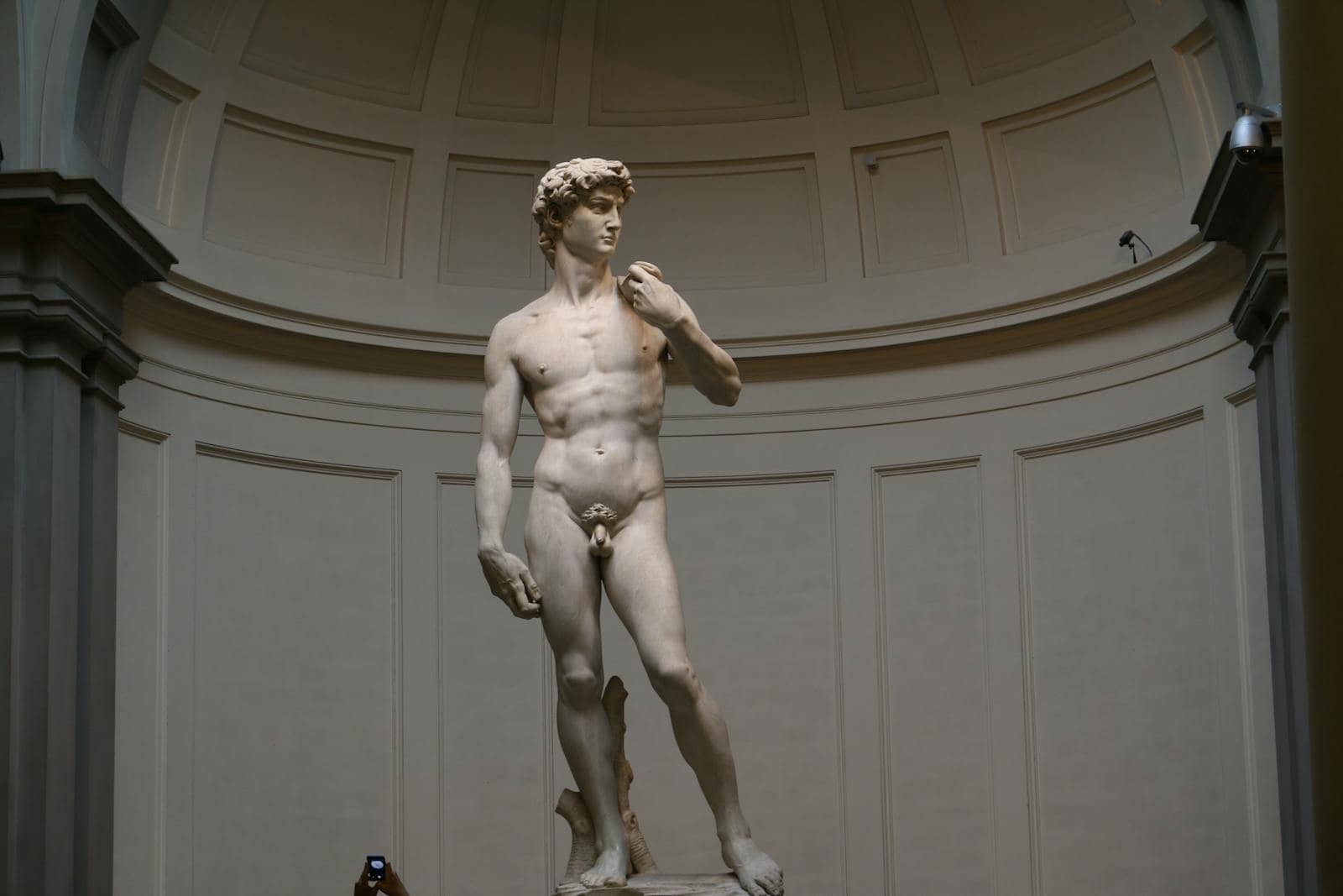 Stunning view of Michelangelo's David, a Renaissance masterpiece in Florence.